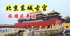 我操浪逼视频网站中国北京-东城古宫旅游风景区
